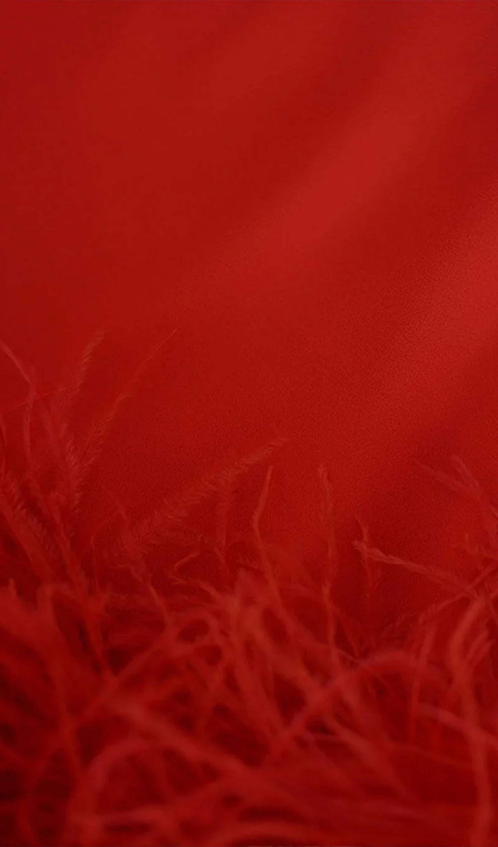 Lena Tüy Süslemeli Midi Elbise Kırmızı