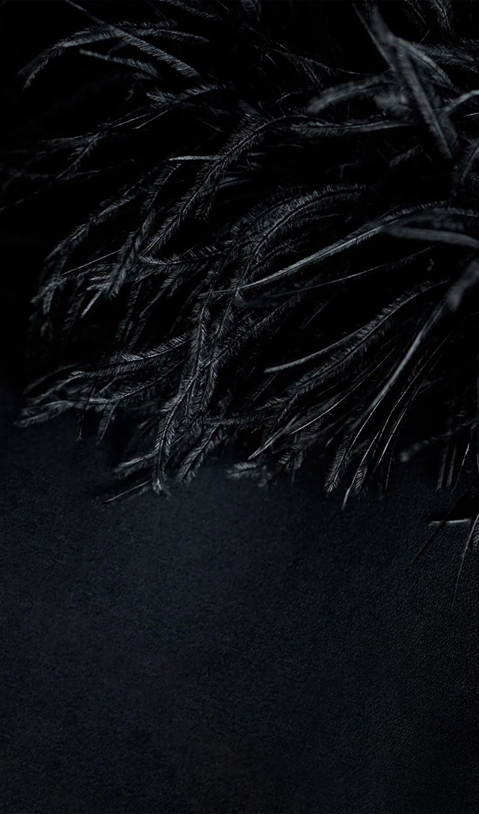 Lena Tüy Süslemeli Midi Elbise Siyah