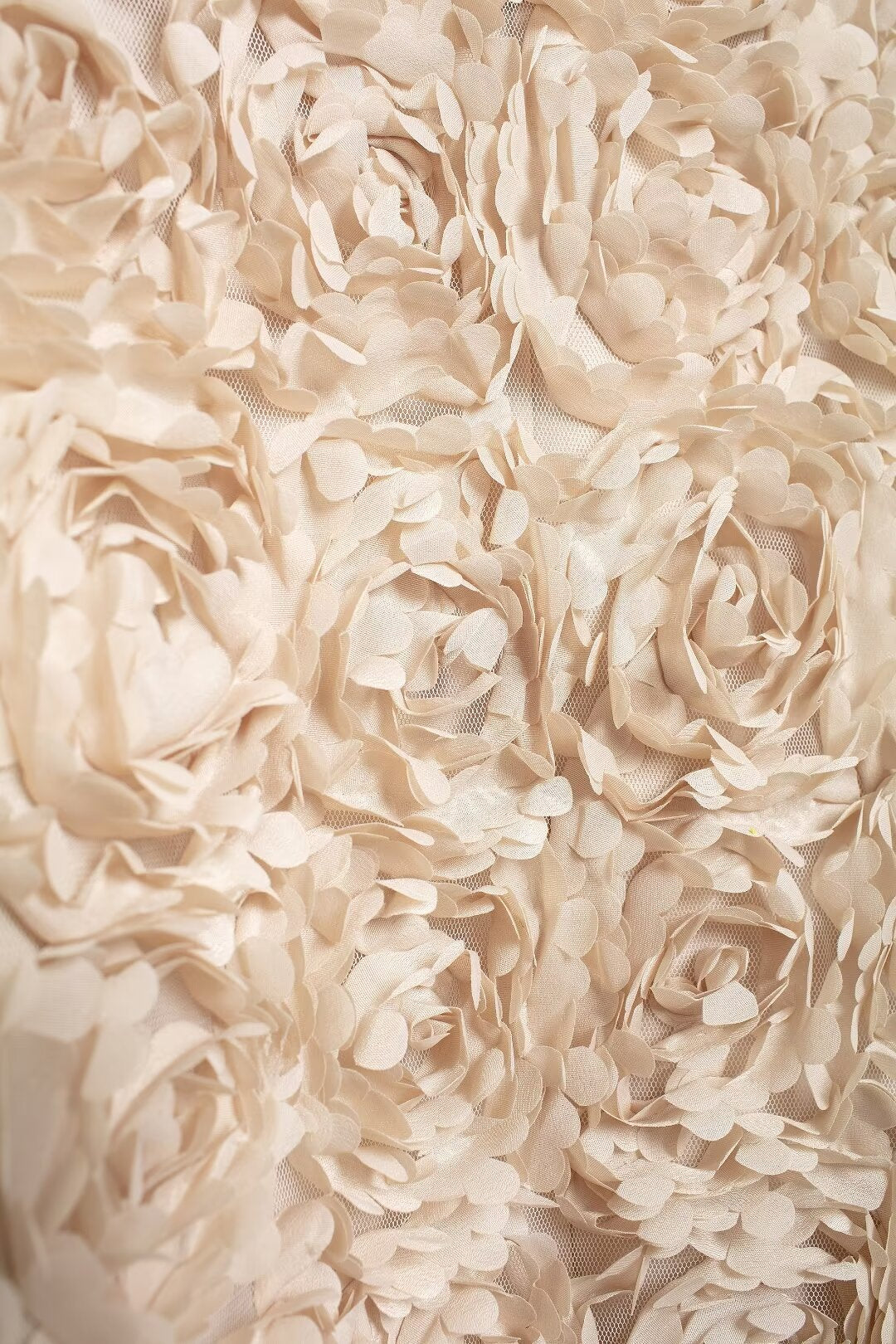 Alice Çiçek Aplikeli Kısa Ceket